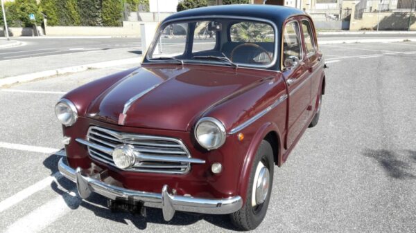 2431 Fiat 1100 TV