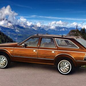 445 AMC Eagle
