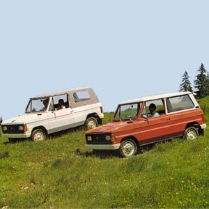 481 ARO 10