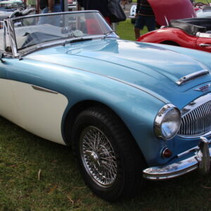 845 Austin Healey 3000 MK2 BJ7 scaled